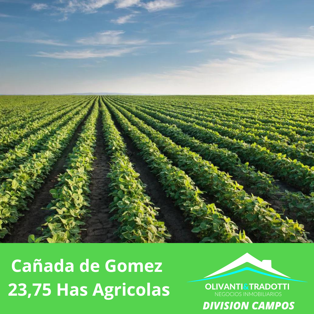 24 HAS AGRICOLAS – CAÑADA DE GOMEZ – OPORTUNIDAD
